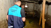 Van'da kuduz paniği Arıtoprak Mahallesi giriş çıkışlara kapatıldı
