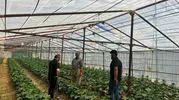 Yüksekovalı çiftçiler yeni ürünler için kolları sıvadı