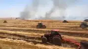 Viranşehirde anız yangını çiftçinin emeğini yaktı