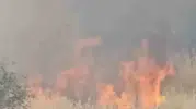 Çermik’te alevler evlere ulaşmadan söndürüldü