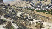 Mardin Yeşilli’de orman yangını korkuttu