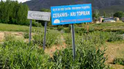Van'da bir mahalle kuduz riski nedeniyle karantinaya alındı