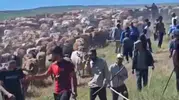 Muş’ta arazi kavgası kanlı bitti