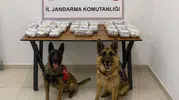 Şemdinli yolunda zehir tacirlerine jandarma operasyonu