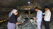 Sason’da ipek böcekçiliği yüzlerce hanenin geçim kapısı oldu