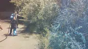 Başkale ilçesindeki bir bahçede çıkan yangın paniğe yol açtı