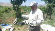 Batmanlı vatandaş bahçesinde bulduğu yılanı zarar vermeden doğaya saldı