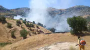 Dicle kırsalında örtü yangını paniği