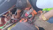 Bismil yolunda kontrolden çıkan çekici devrildi