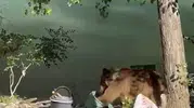 Tunceli'de piknik keyfi yapanların yanına davetsiz bir bozayı geldi