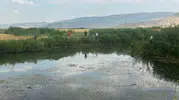 Muşta dere kenarında balık tutan iki kuzen boğularak can verdi