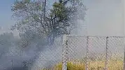 Kurtalan ilçesinde bir bahçede çıkan yangın meyve ağaçlarını yaktı
