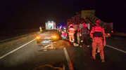 Bingöl yolunda otomobil ile inekler çarpıştı