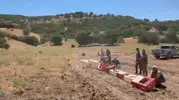 Elazığ kırsalındaki kene sorununa karşı 300 keklik doğaya salındı