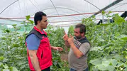 Suruç Ovasında su bereketi mevsimlik işçiliği tarihe gömdü