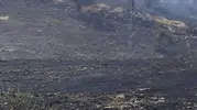 Siirt Akyamaç köyünde çıkan yangın mera alanını küle çevirdi