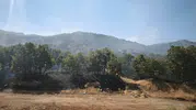 Çüngüş’teki Mırgan Yaylası’nda çıkan yangın ekiplerin müdahalesiyle söndürüldü