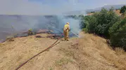 Bingöl genelinde beş farklı noktada etkili olan yangınlar kontrol altına alındı
