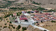 Elazığ’da binlerce sokak hayvanı modern merkezde şifa buluyor