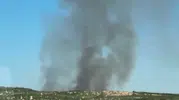 Diyarbakır Lice sınırlarında çıkan orman yangını korkuttu