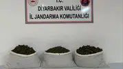 Diyarbakır genelindeki geniş çaplı uyuşturucu operasyonunda 107 kilo esrar yakalandı