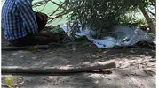 Beş gündür kayıp olan Şevket İzci derede ölü bulundu