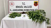Bingöl jandarmasından aranan şahıslara yönelik geniş çaplı operasyon