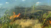 Silopi'deki yangın ekiplerin müdahalesiyle kontrol altına alındı