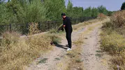 Esnaf trafikteki kaplumbağayı ezilmekten son anda kurtardı