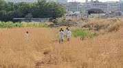 Şanlıurfa Yenice Mahallesindeki tarlada cansız bir erkek bedeni bulundu