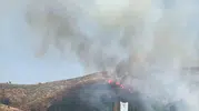 Genç ilçesindeki örtü yangınına ekipler müdahale ediyor