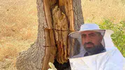 Lice kırsalında arıların izini sürerek ağaç kovuklarından doğal bal topladılar