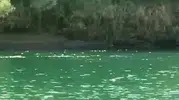 Dicle Nehrinde Piknik Sırasında Devrilen Bottan Bir Genç Kadın Hayatını Kaybetti