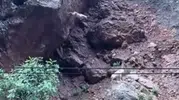Munzur Vadisinde sarp kayalıkları aşan dağ keçileri görüntülendi