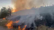 Elazığ Aşağı Demirtaş köyünde mangal ateşi otluk alanı küle çevirdi