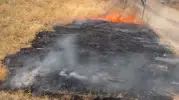 Elazığ Sürsürü Mahallesinde Korkutan Otluk Yangını Kontrol Altına Alındı