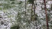 Karakoçan'da fırtına ve dolu, çadırları uçurdu arazileri vurdu
