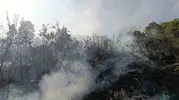 Bingöl ve Solhan kırsalındaki yangınlar ekiplerin müdahalesiyle tamamen söndürüldü