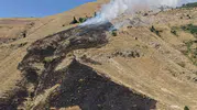 Bitlis kırsalındaki örtü yangını köylülerin ve ekiplerin çabasıyla söndürüldü