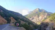 Munzur Vadisi ormanlarında başlayan örtü altı yangını ekipleri harekete geçirdi