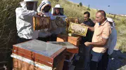 Bitlis Eren Üniversitesi bal üretiminde kapasitesini ve kalitesini artırıyor