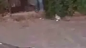 Şanlıurfa'da husumetli ailelerin silahlı çatışmasında üç kişi hastanelik oldu