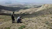 Nadir Türleri Kayıt Altına Almak İçin Van Gölü Havzasına Akın Ettiler