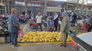Diyarbakır Çermik kavunu sezonu açtı
