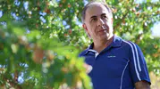 Tekstil Mühendisi arpa tarlasını 9 yılda badem bahçesine çevirdi