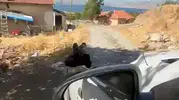 Elazığ'da yaşlı adamın ağaca zincirlenmesi görenleri hayrete düşürdü