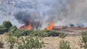 Siirt Eruh'ta çıkan orman yangını uzun uğraşlar sonucu söndürüldü
