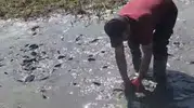 Yüksekova'da kuruyan derelerdeki balıklar için seferberlik başlatıldı