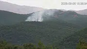 Bingöl Genç ilçesindeki orman yangını ekiplerin müdahalesiyle söndürüldü