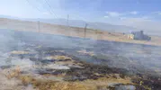 Muşta iki farklı noktada çıkan anız yangınları korku dolu anlar yaşattı